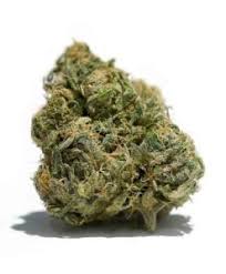 God's  Gift  (AAAA)  THC 28%