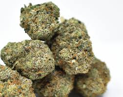 Purple Wreck  (AAAA+)  Craft  THC 27%