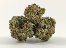 Black Tuna   (AAA)   THC 28%