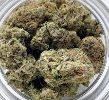 Pink  Rockstar  (AAAA+)  Craft   THC 29%