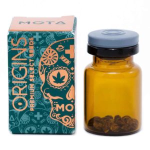 MOTA PREMIUM SELECT SEEDS  THC- 10 PACK