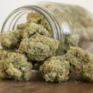 Mike Tyson  (AAAA+)  Craft   THC 29%