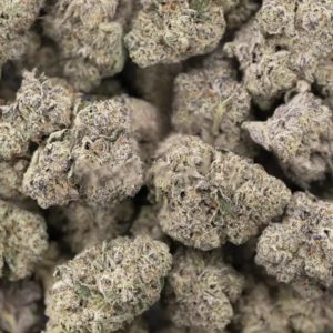 Pink Tuna  (AAAA+)  Craft  THC 31%