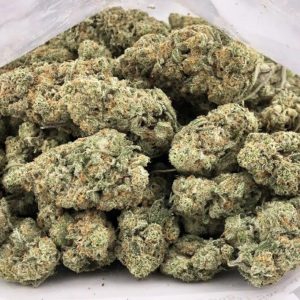 Jack Herer  (AAA+)  THC  25%