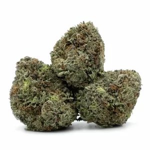 Sour Tangie  (AAA) THC 25%
